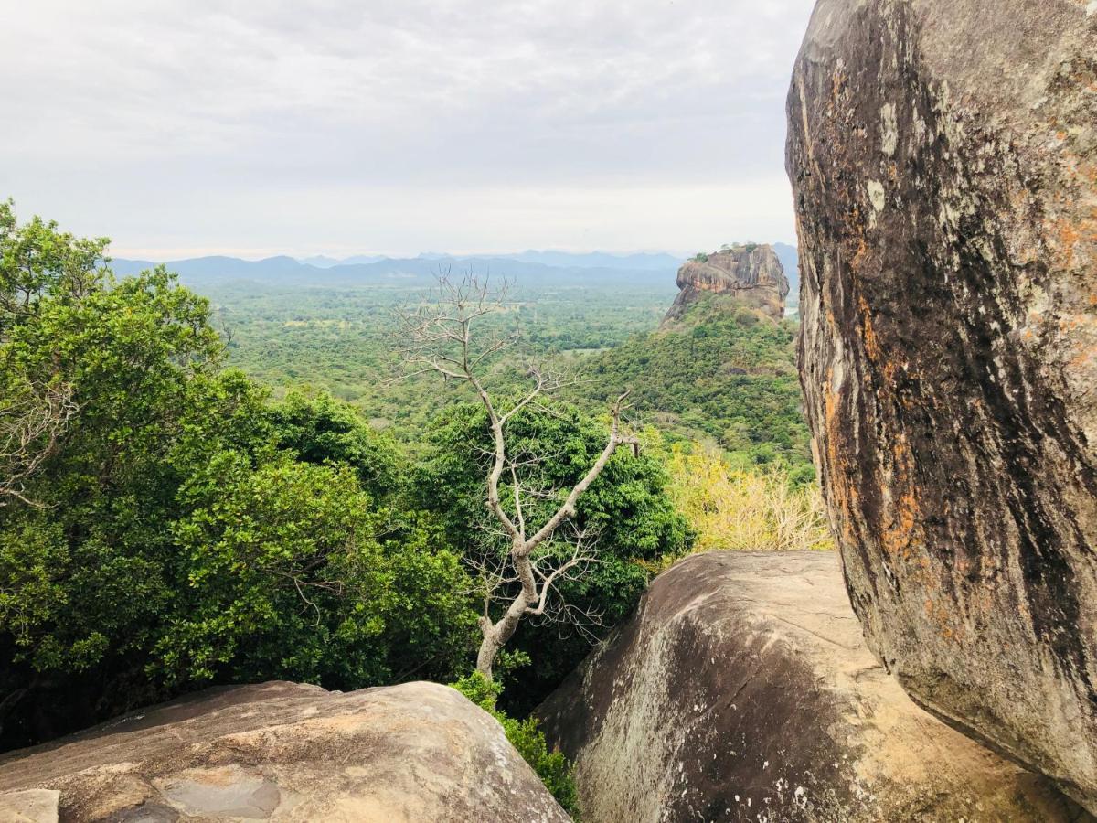 Sigiri Liya Rest Hotell Sigiriya Exteriör bild